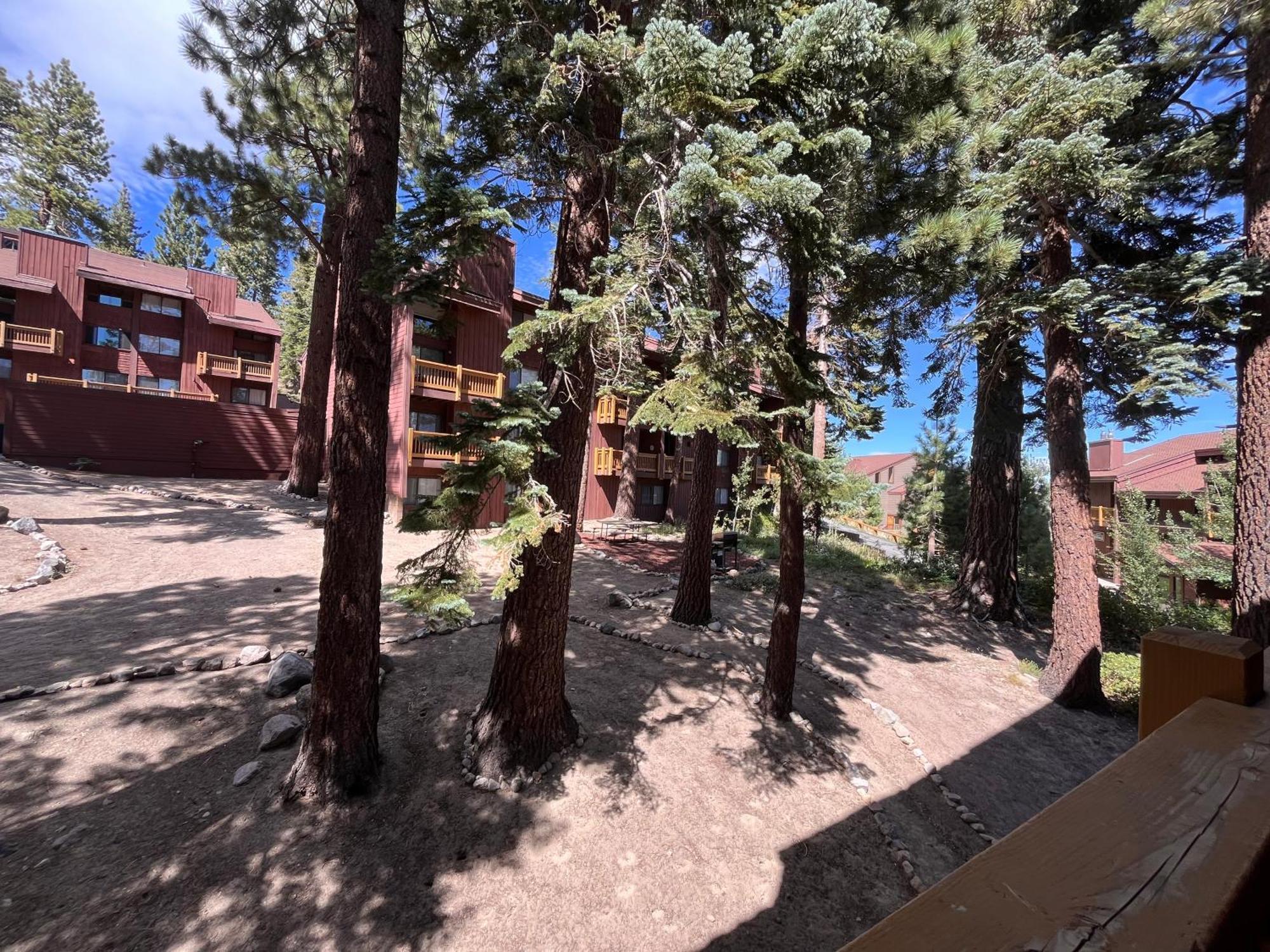ממות' לייקס Tastefully Remodeled Condo At Mammoth Ski & Racquet Club, Hot Tub, Garage, 10 Min Walk To Ski Lifts מראה חיצוני תמונה